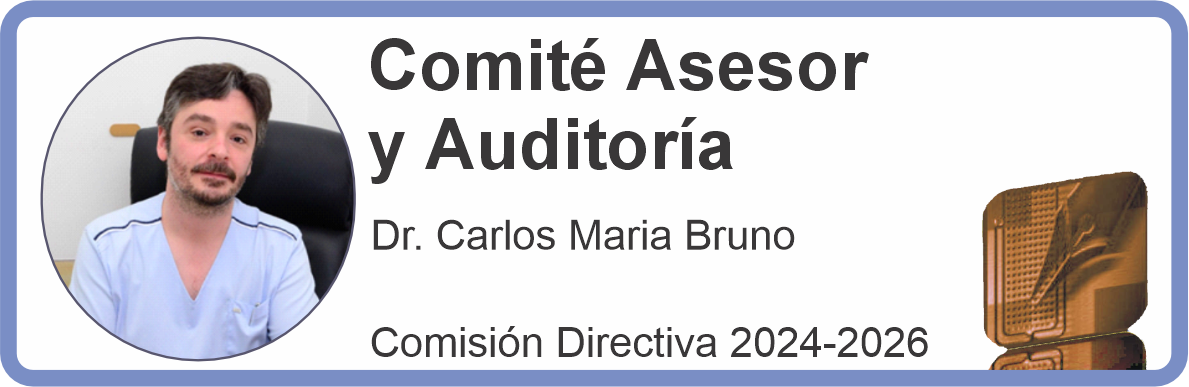 Comité Asesor y Auditoría