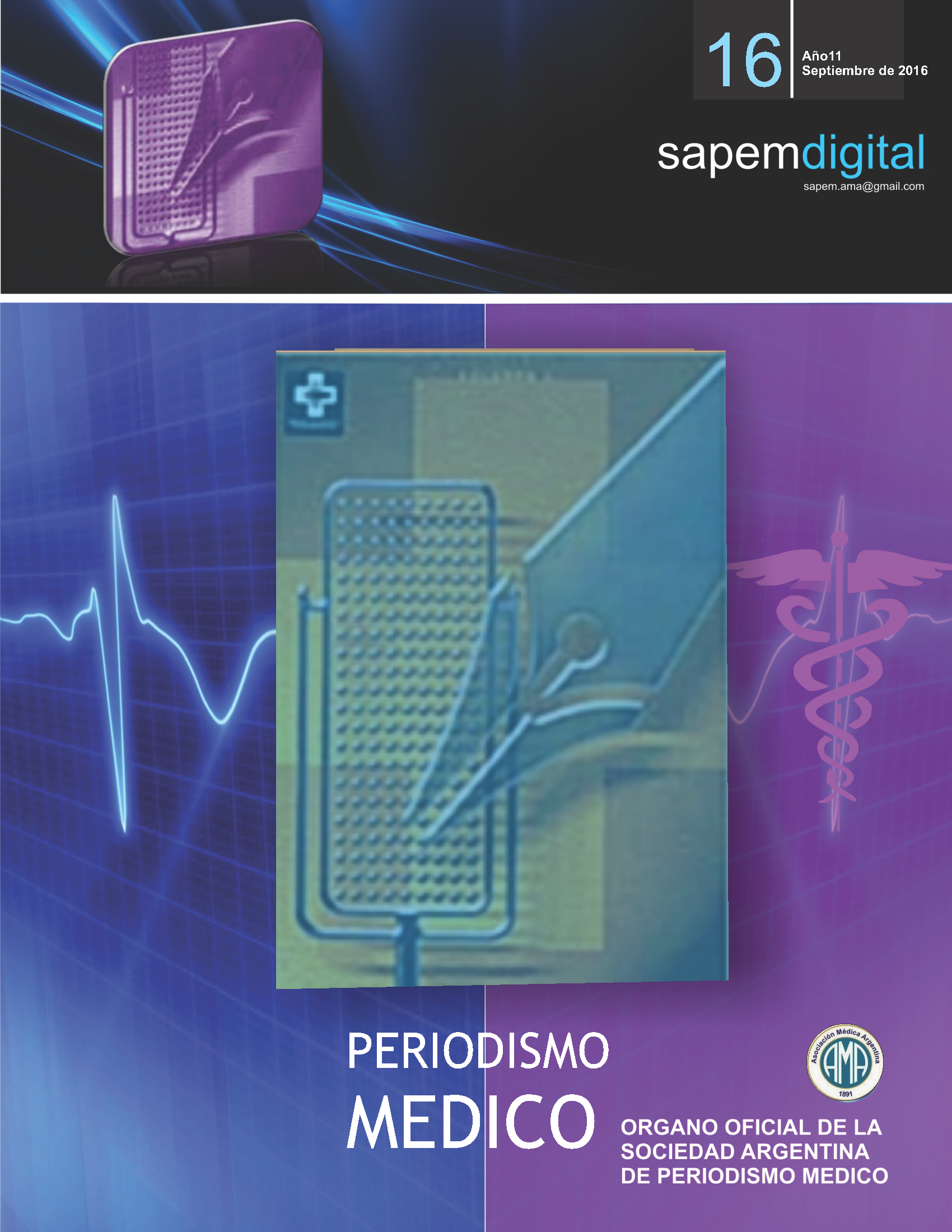 Revista Digital SAPEM Nº16