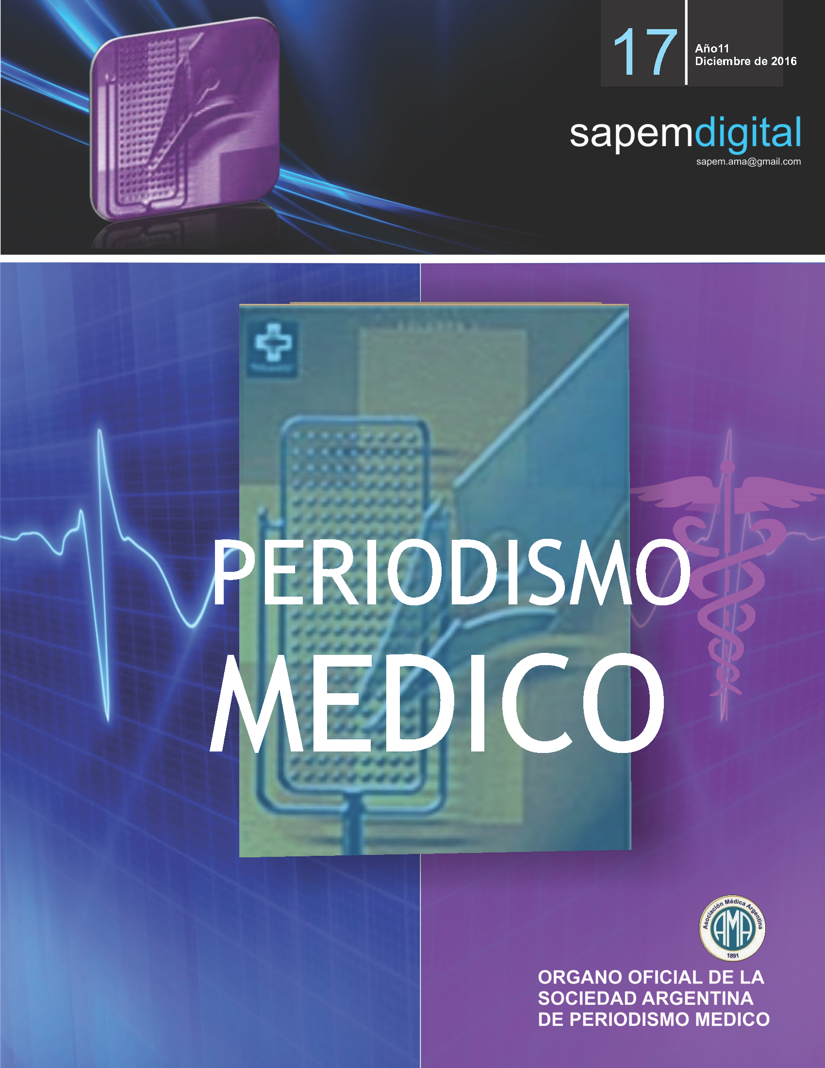 Revista Digital SAPEM Nº17