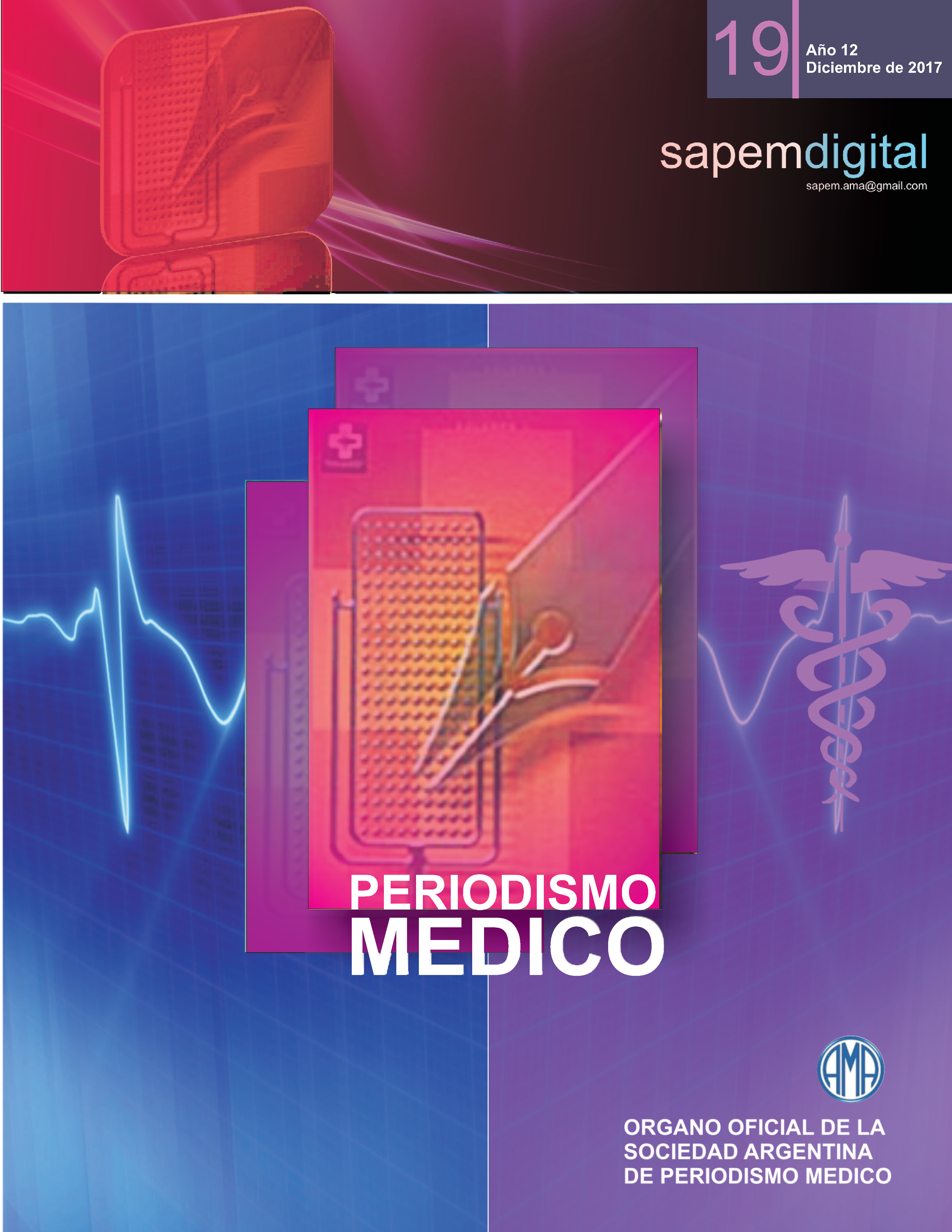 Revista Digital SAPEM Nº19