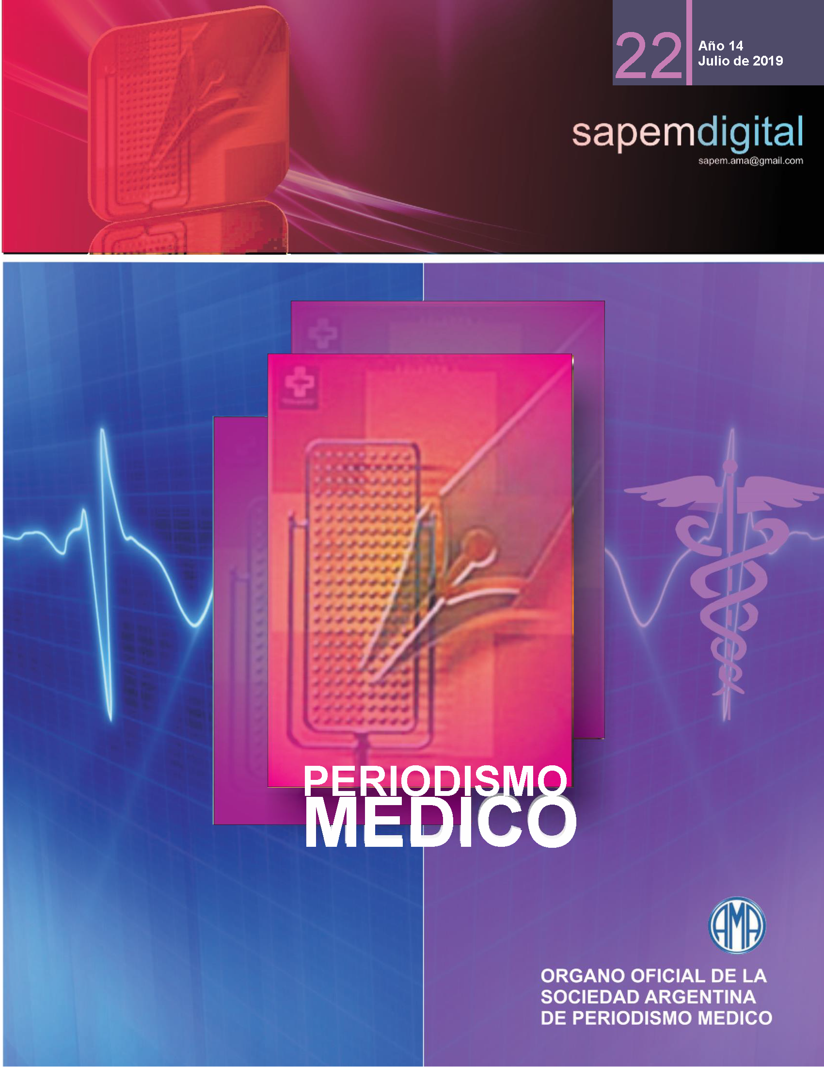 Revista Digital SAPEM Nº22