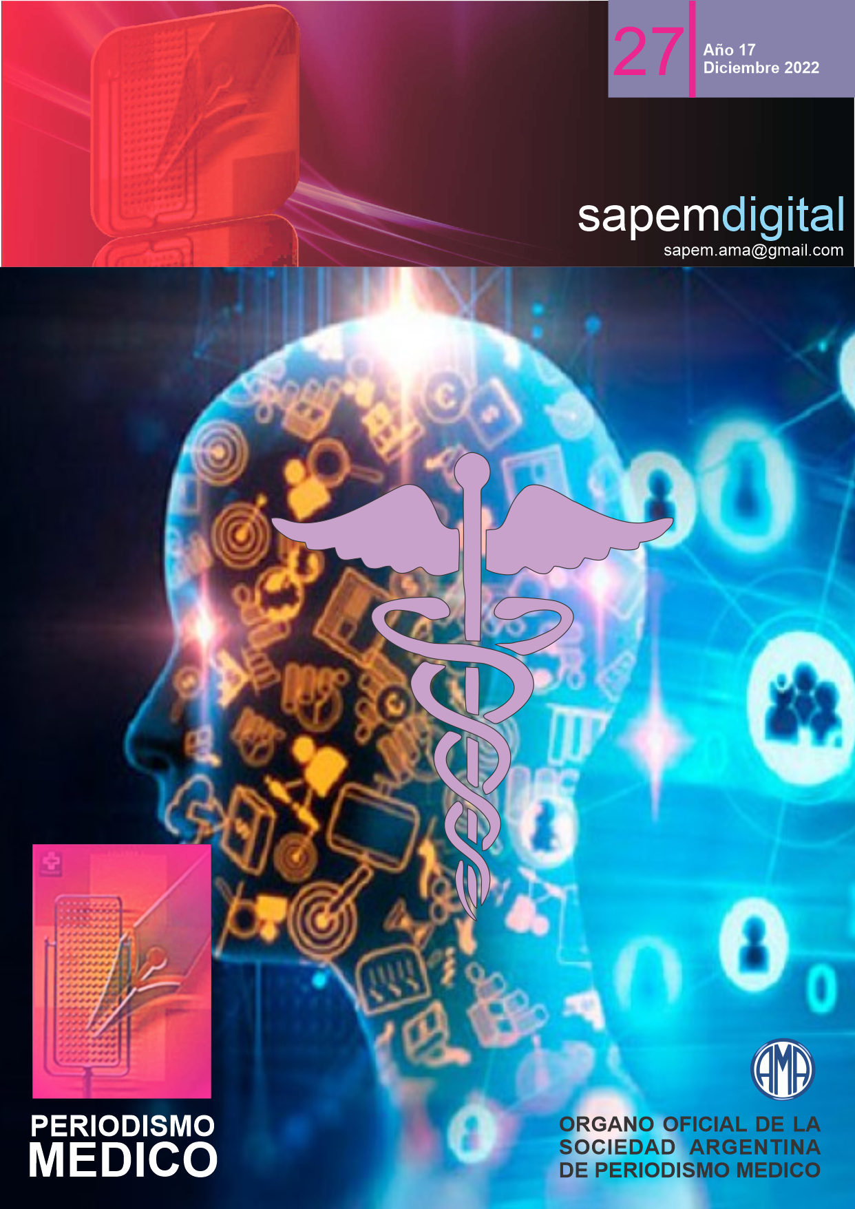 Revista Digital SAPEM Nº27